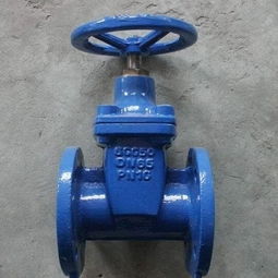 耐吉德閥門(mén)加盟 投資前景與加盟流程全解析